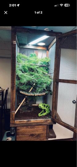 Reptile Cage Custom Made