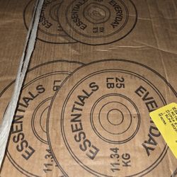 100 Lbs Bumper Weight Plate Set