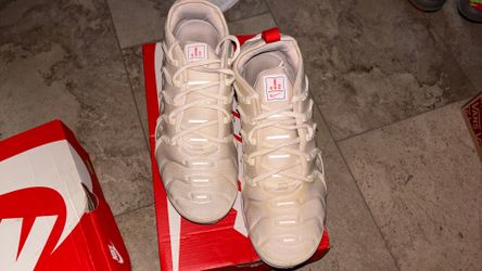 Nike air vapor max plus