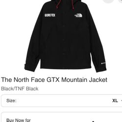 The north Face MOUNTAIN Jacket 