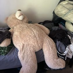 Giant Teddy Bear For 65
