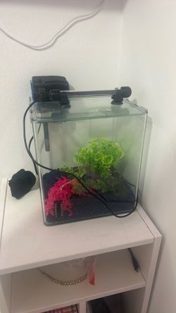 Fish tank 5gallon
