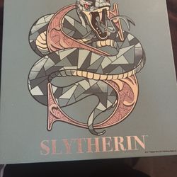 Slytherin Harry Potter Canvas Poster Painting 