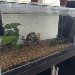 Fish tank