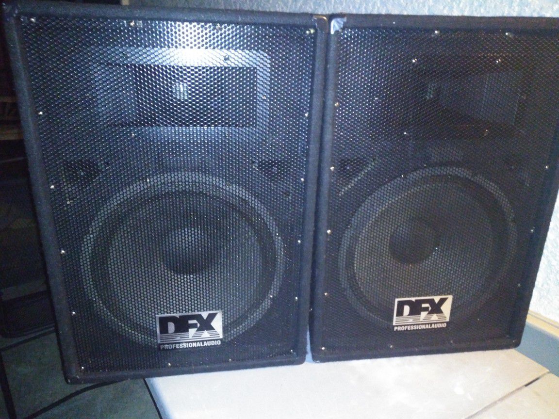 2 speakers 15" DFX PROFESIONAL AUDIO