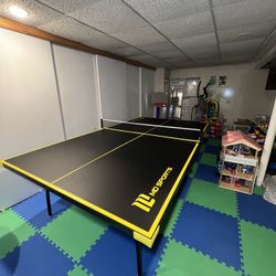 Table Tennis / Ping Pong Table – Great Condition