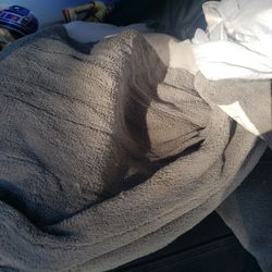 Twin Size Electric Blanket