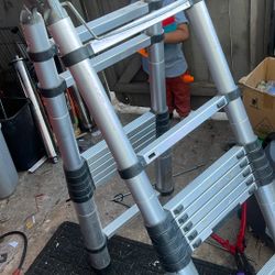 Telescopic Ladder