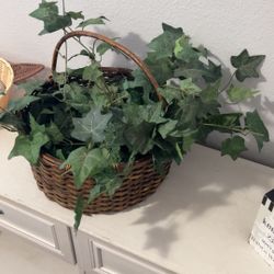 Fake Plants