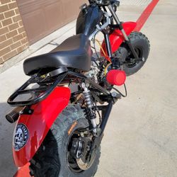 Trailmaster Mini Bike 