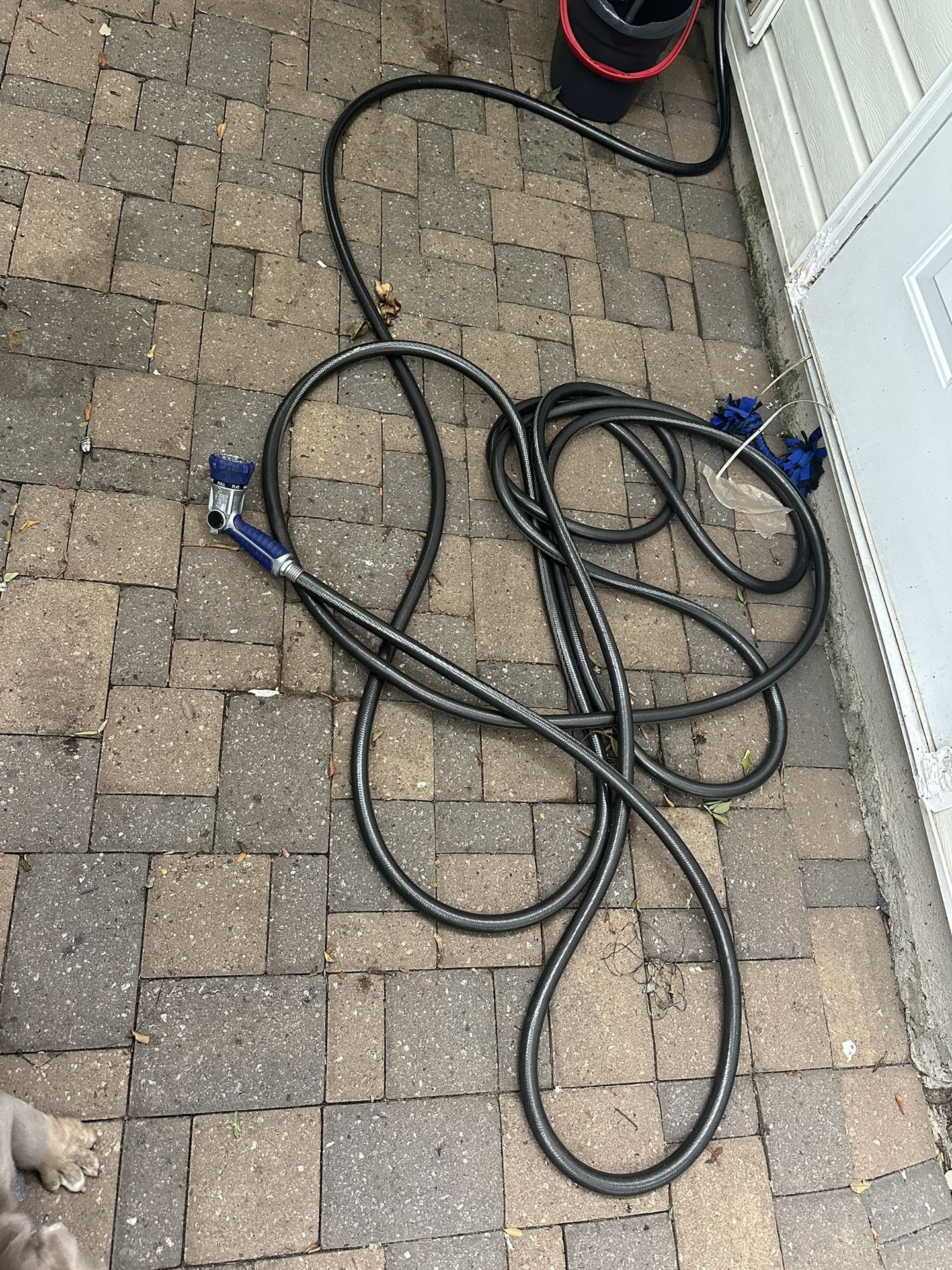 Water Hose And Sprayer