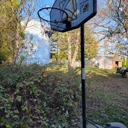 Basketball Hoop 