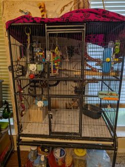 Bird cage with nest and toys