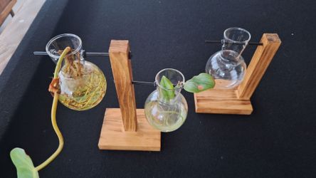 1 double and 1 single Plant Terrarium with Wooden Stand Sets. Desktop Propagation Stations Glass Air Planter Metal Swivel Holder for Indoor Live Hydro