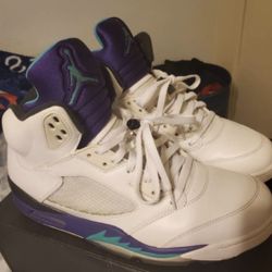 Jordan Grape 5s Size 12 (2013)