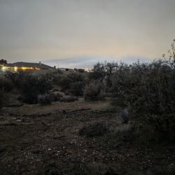 1.99 Oak hills ca 92344
Lot land for sale 
100k cash
Text or call the realtor for appointments


DRE# 0
Excelente RE Real Estate