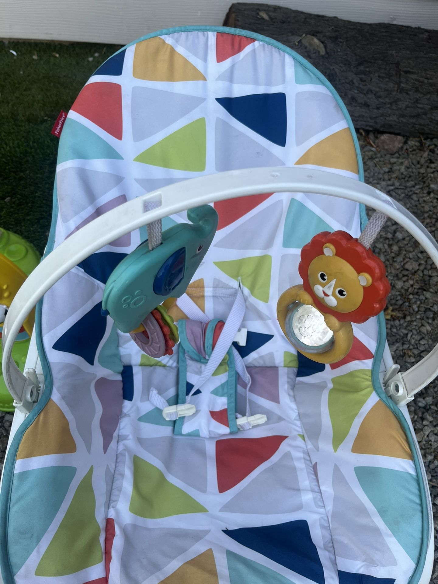 Baby Rocker Swing
