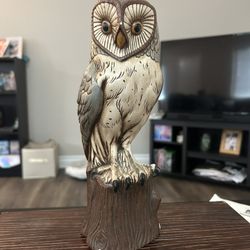 Owl Statute!