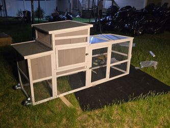 New coop or hutch in box