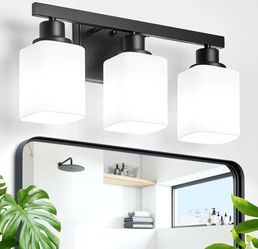 3-Light Black Bathroom Vanity Light Fixture