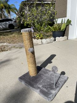 Brand New Cat Scratch Post