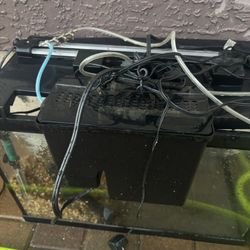 Fish Tank 