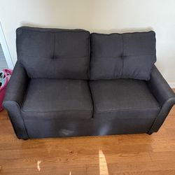 Twin Pullout Couch