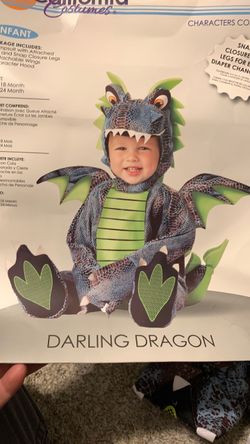 Dragon Costume