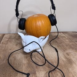 🎧 SOL REPUBLIC Tracks Headphones (Wired
