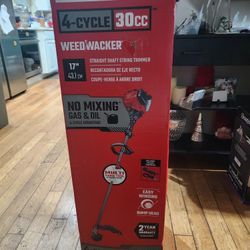 Viewed 01/7/2026

More Recents
CRAFTSMAN CMXGTAMDSS30 WS4200 30-cc 4-cycle 17-in Straight Shaft Attachment Capable Gas String Trimmer
CRAFTSMAN  #CMXG