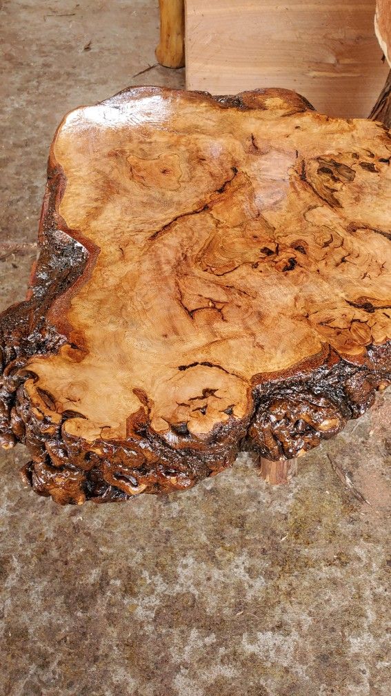 Red Oak BURLS Slices