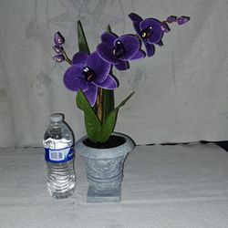 Hyde And Eek Faux Creepy Carnivorous Halloween Decor Plant In Excellent New Condition