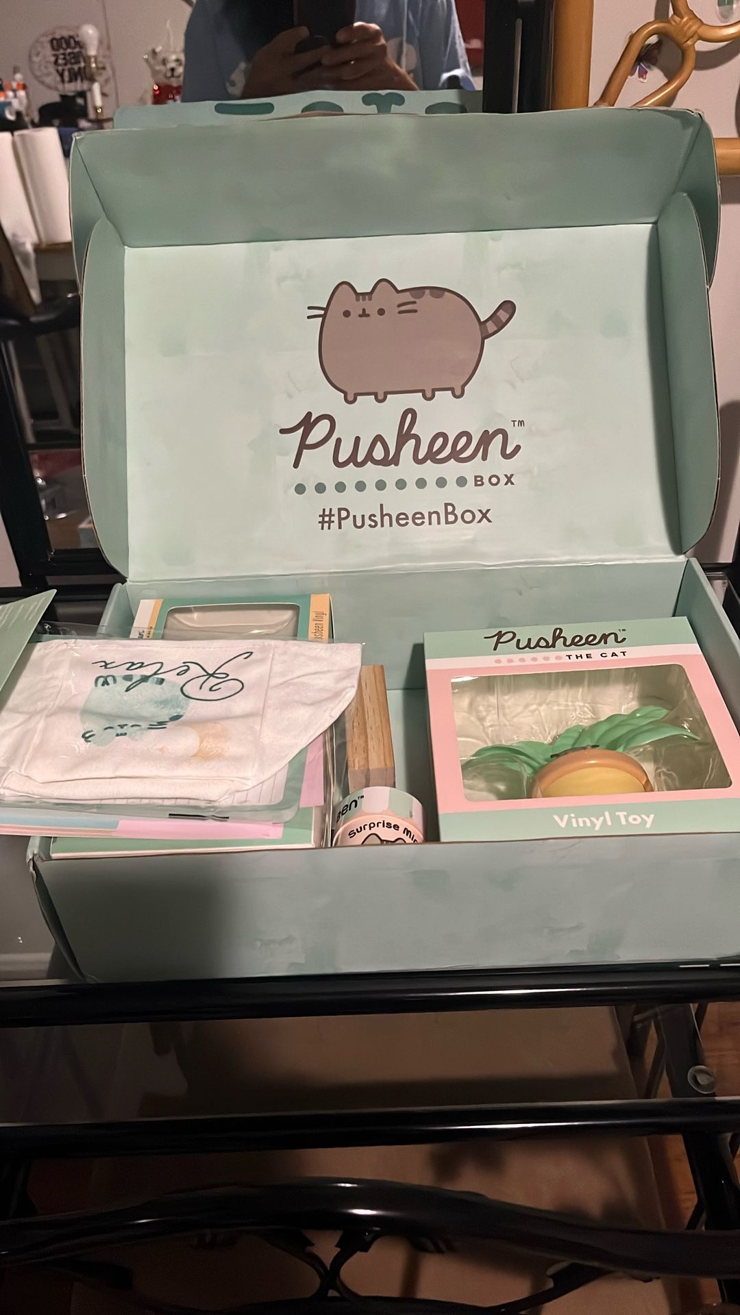 Pusheen Spring 2021