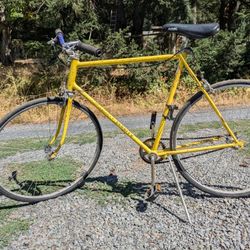 Vintage Schwinn Men's Road Bike