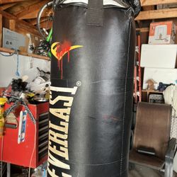 EVERLAST punching bag 