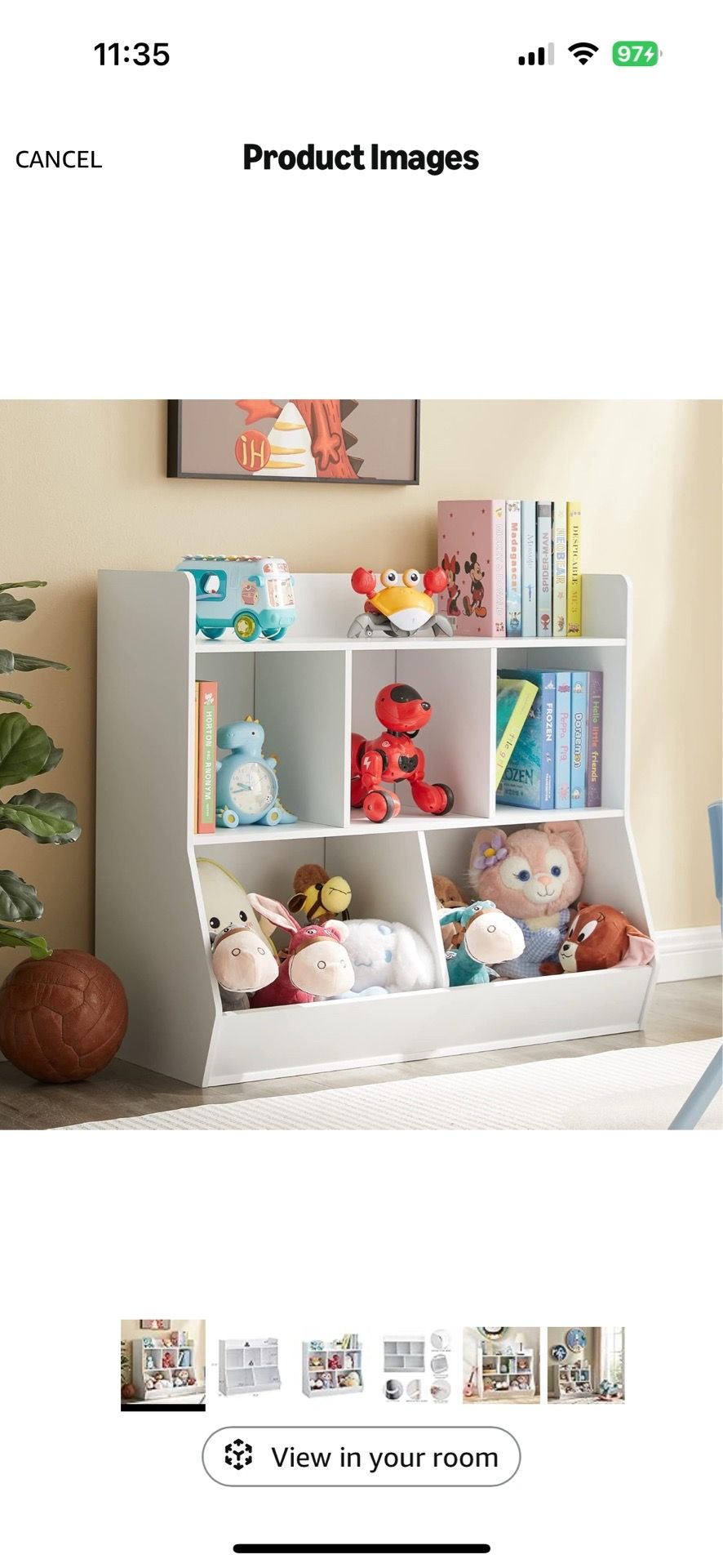 Toy and book shelf organizer