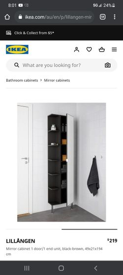 Mirror Cabinet