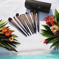 Makeup Brush Set 10 Pieces Plus Brushes Case 