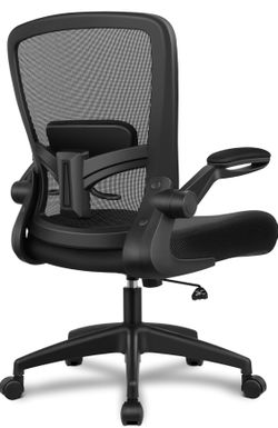 Ergonomic Office Chair