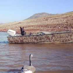 16ft Gregor Aluminum Boat Camouflage 