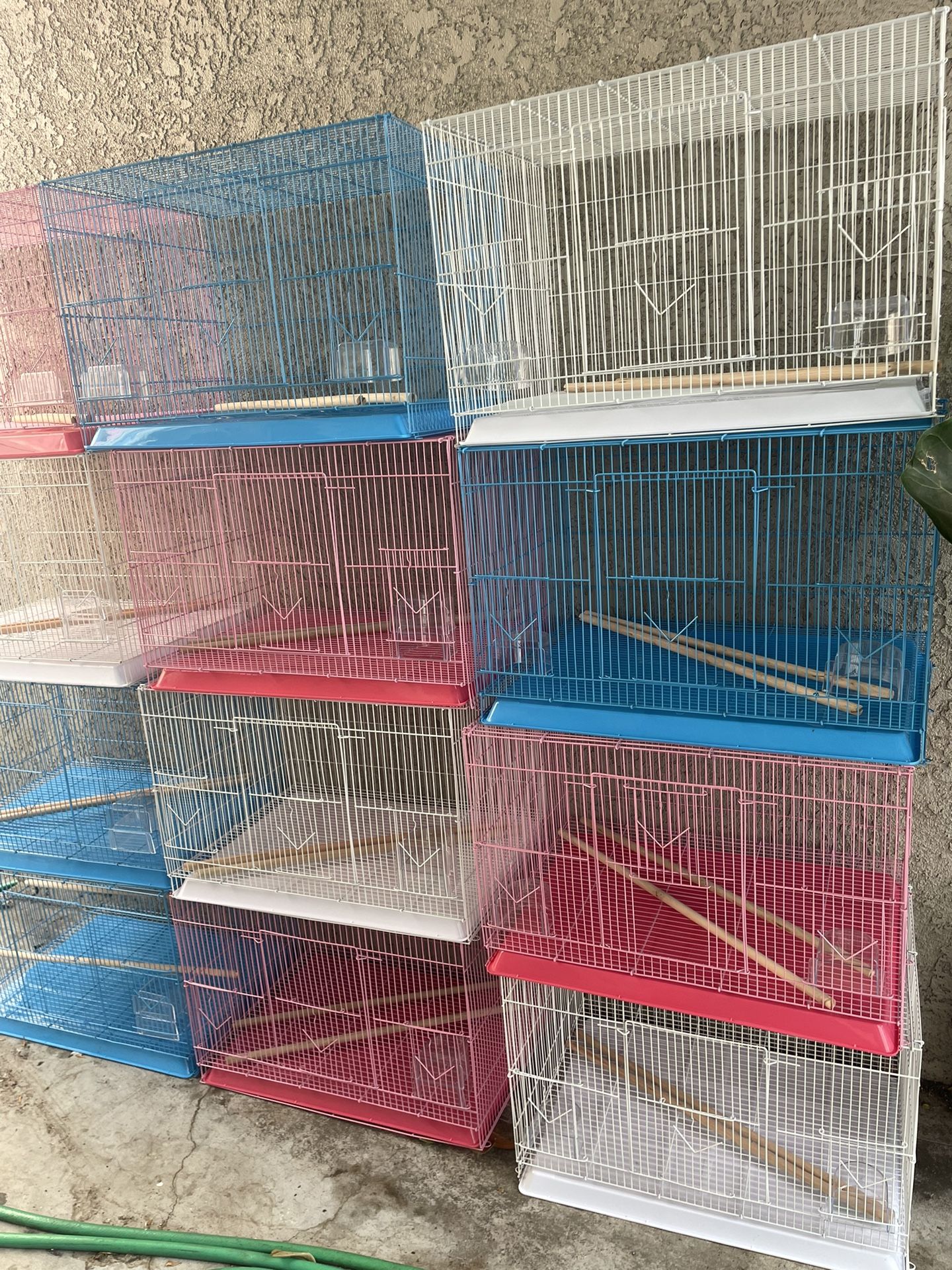 Bird Cage