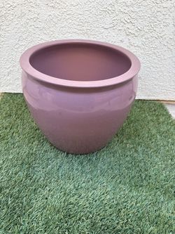 Pot