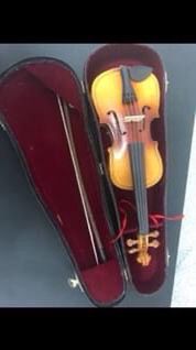 Strad Mini Violin 