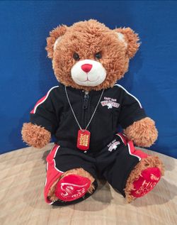 Build-A-Bear Disney High School Musical Wildcats 15" Plush Bear