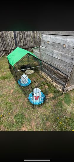 Duck cage