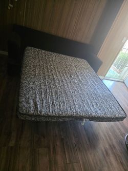 Couch bed in good condition no bugs!!!