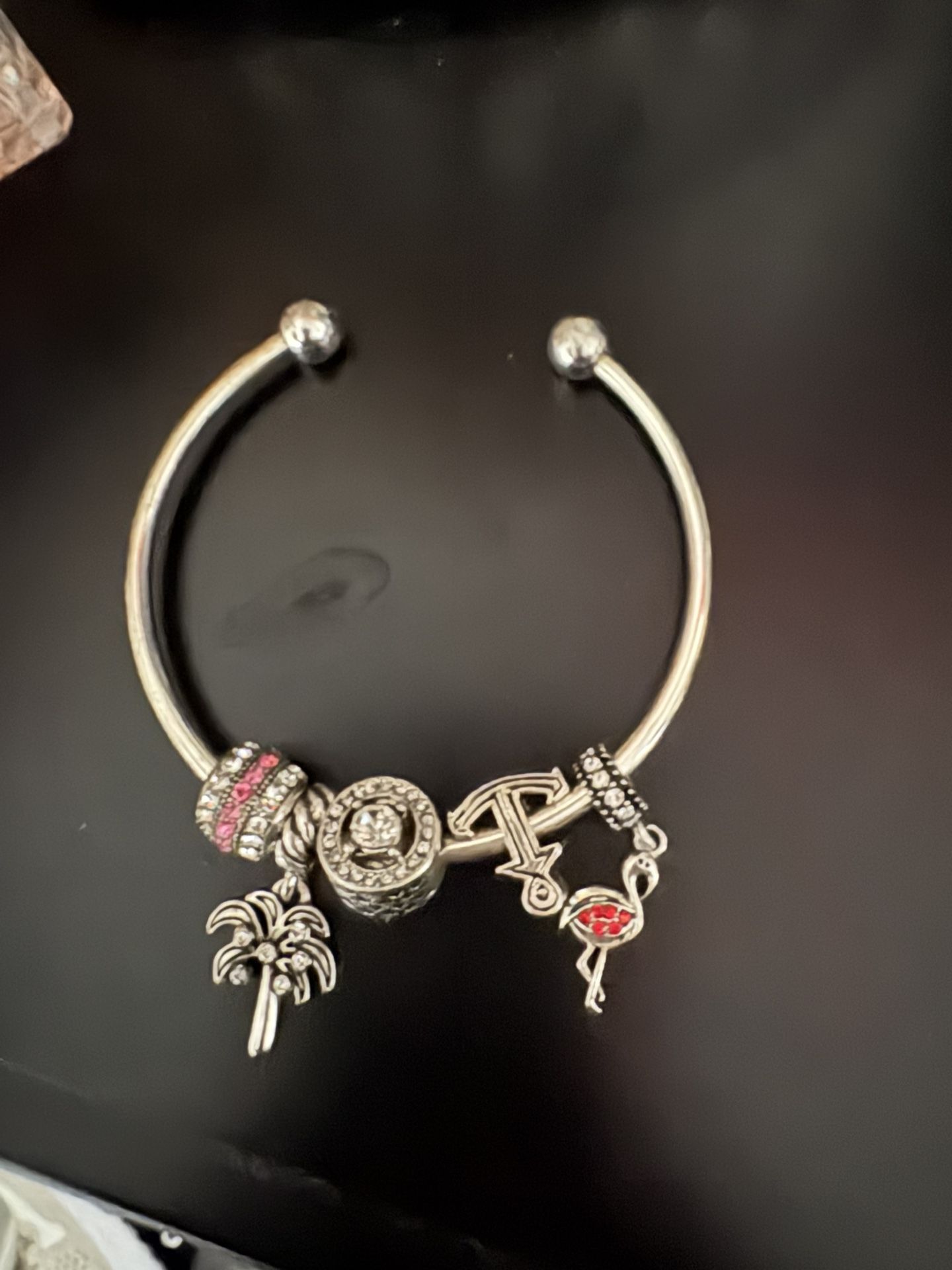 pandora charm bracelet
