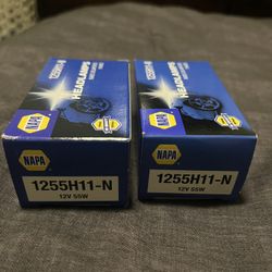 H11 Headlight Bulbs