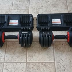 Adjustable Dumbell Set 