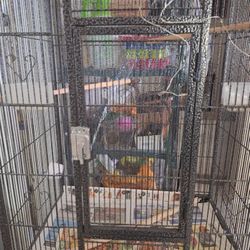 Bird Cage 31 H 16.5 W